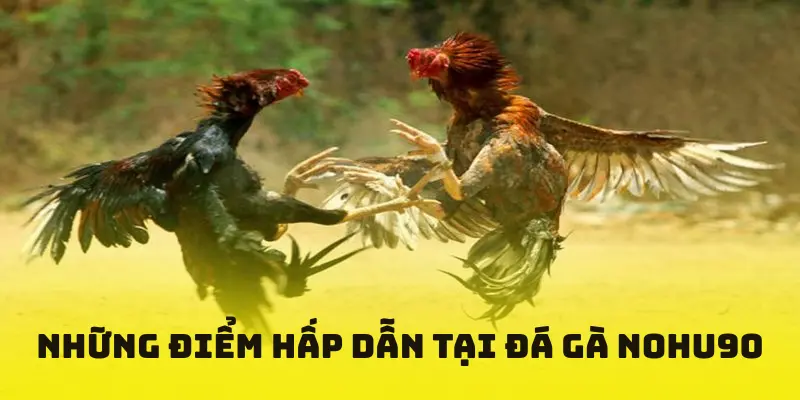 Những điểm gì hấp dẫn người chơi