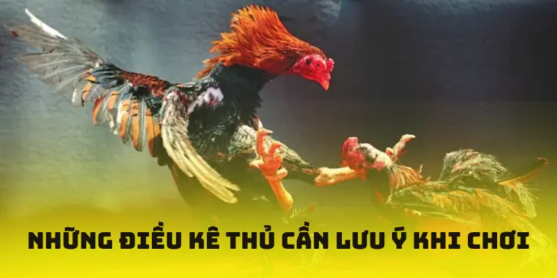Những điều kê thủ cần lưu ý khi chơi