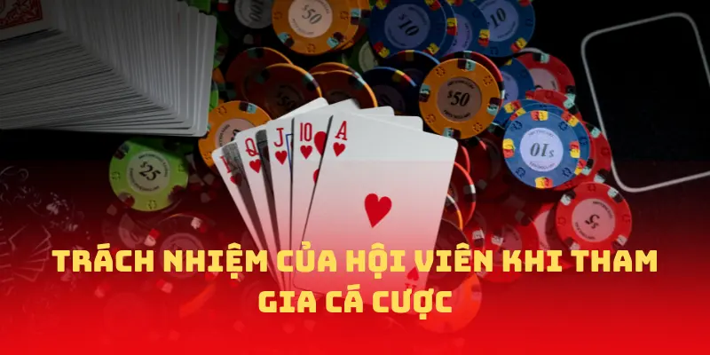 Trách nhiệm của hội viên khi tham gia