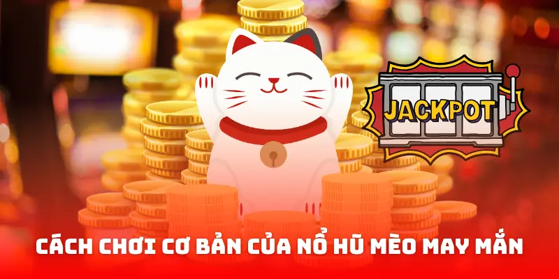 Cách chơi cơ bản của Nổ hũ mèo may mắn